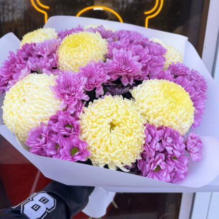 Мікс хризантем