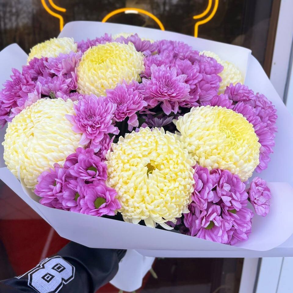 photo_1_2025-11-07_14-07-46 Мікс хризантем